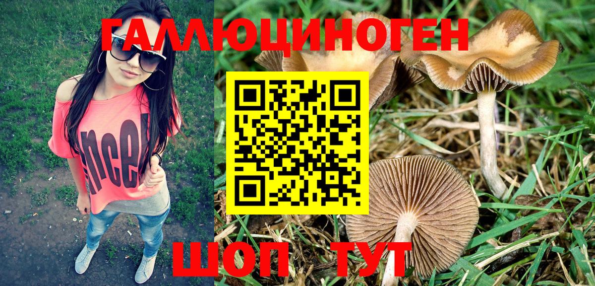 Галлюциногенные грибы Psilocybine cubensis  Псилоцибиновые грибы Magic Shrooms  Вход с VPN  Лесозаводск 