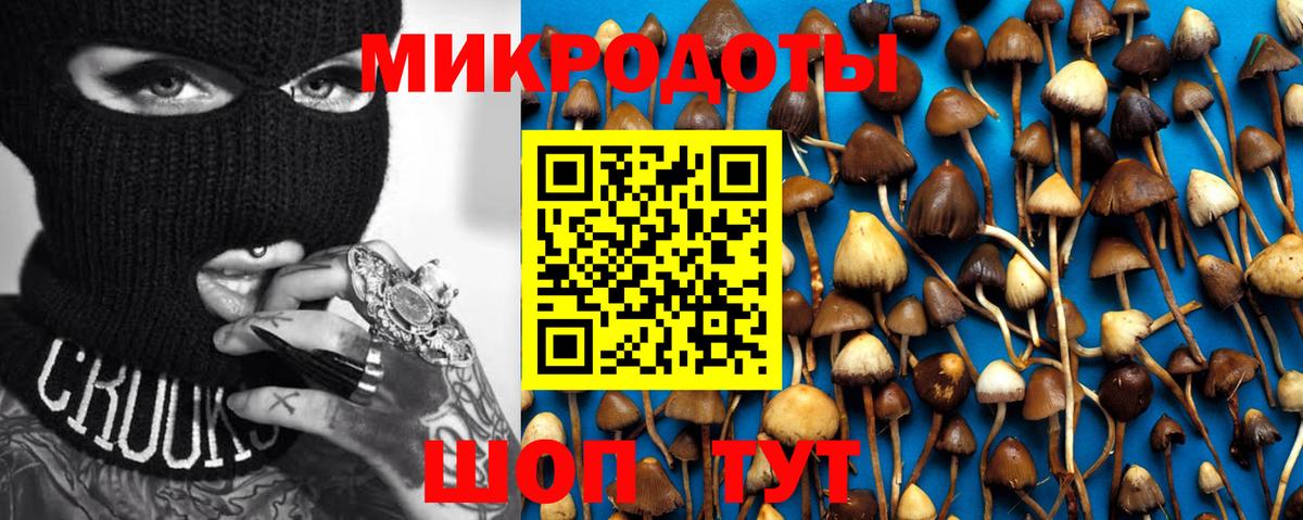 Лесозаводск  A-PVP СК кристаллы  Конопля  Cocaine  NBOMe  Гашиш  МЕФ кристаллы  Меф  Вход с VPN  ГАШ 