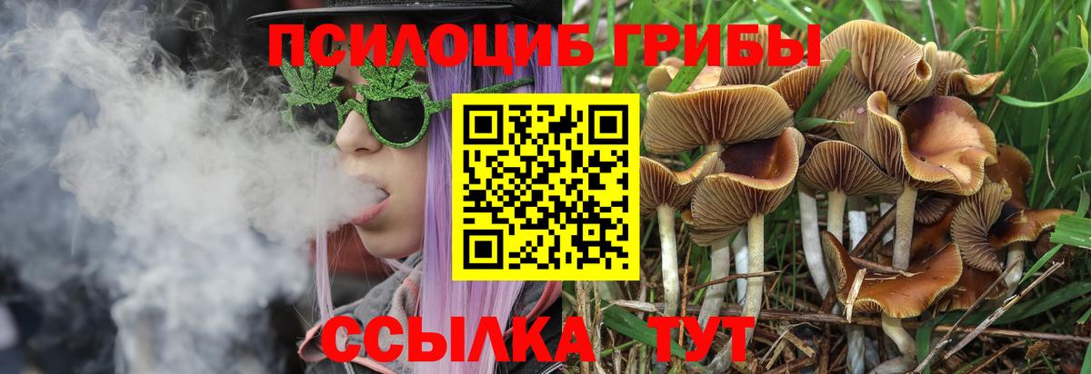 Псилоцибиновые грибы GOLDEN TEACHER Лесозаводск